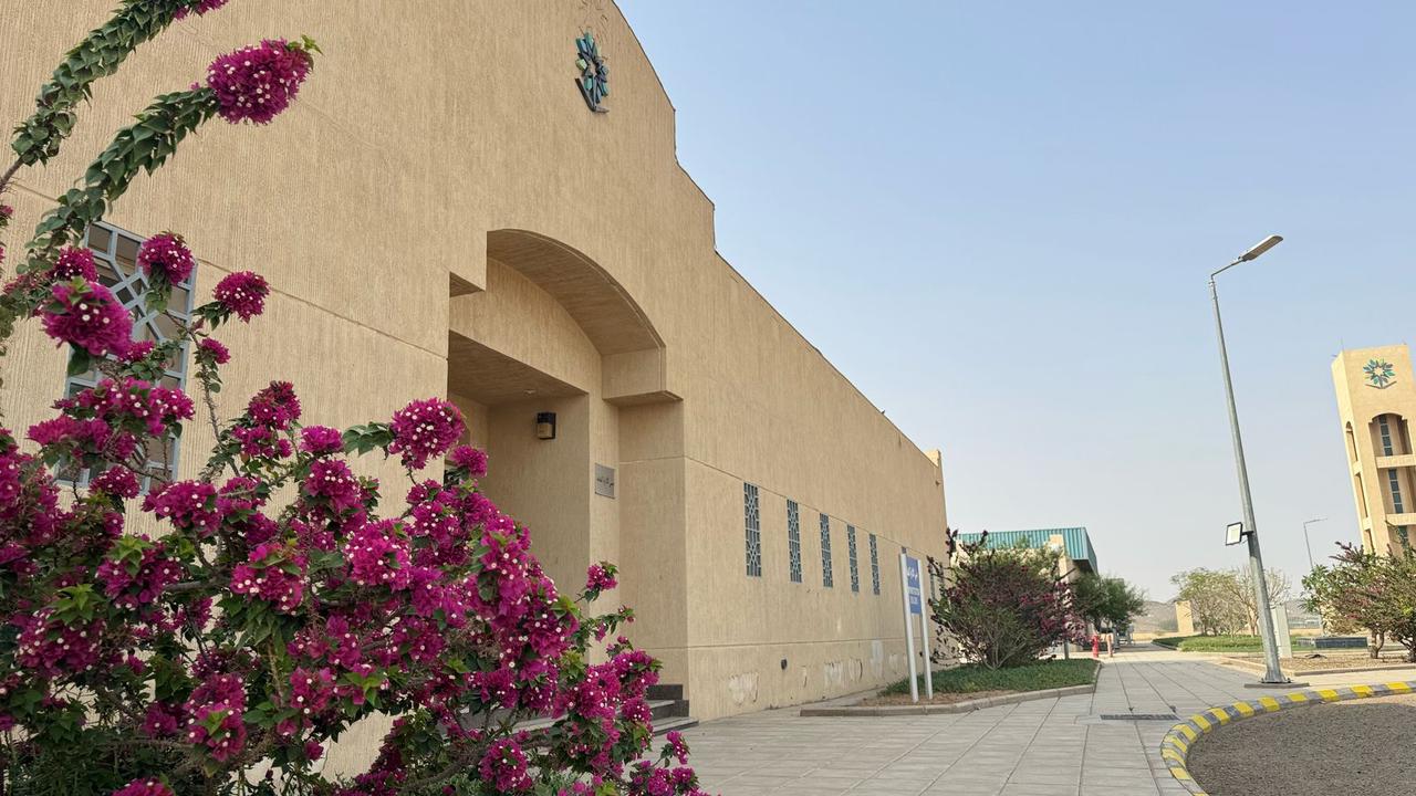 المعهد الصناعي الثانوي وفرع الكلية التقنية بعفيف